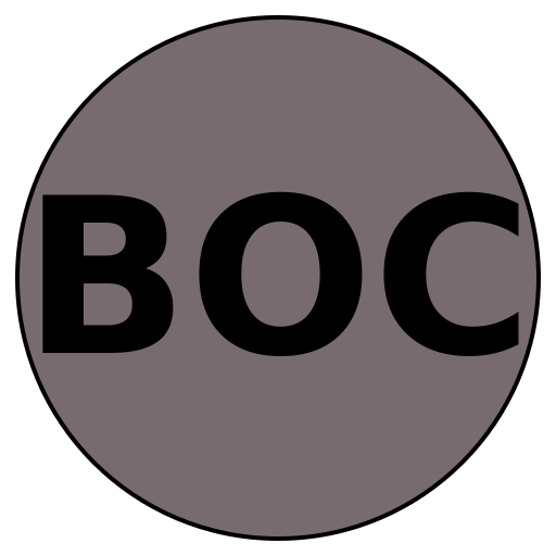 BrightOutlook Careers